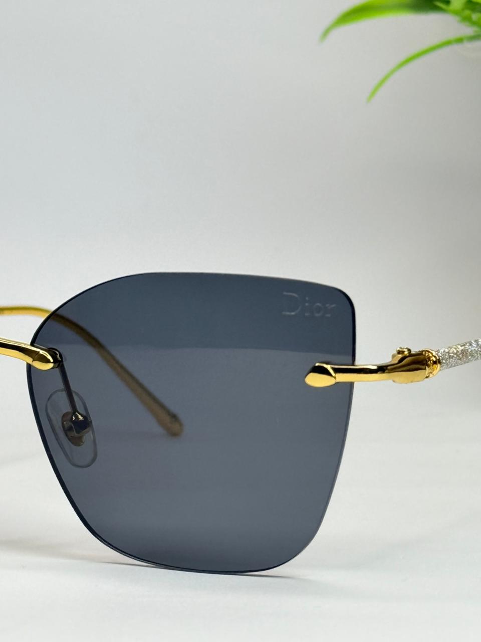 Dior Glasses