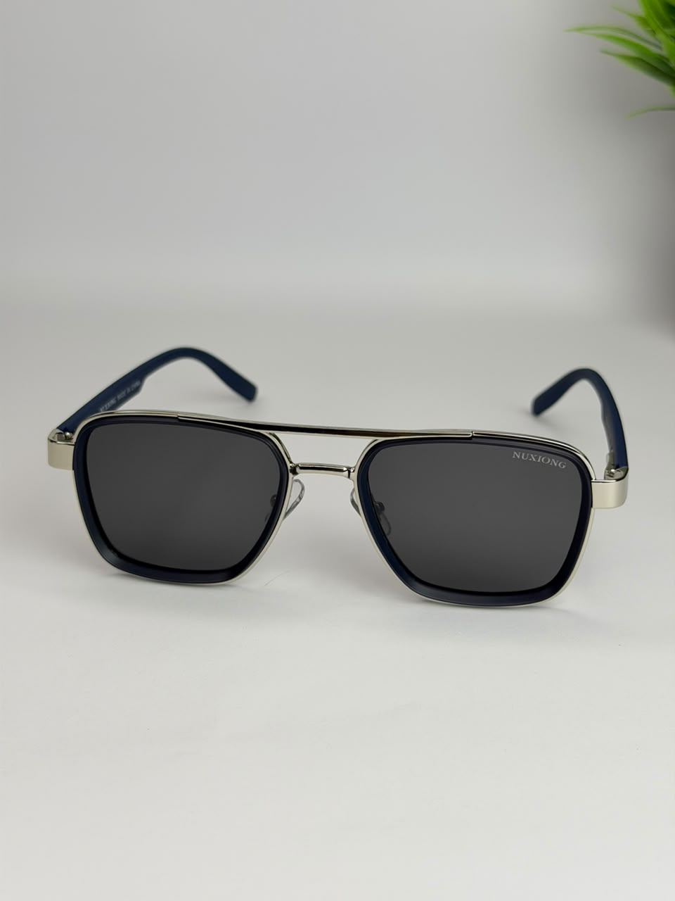 Rayban Polarized