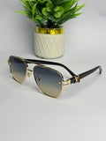 Louis Vuitton Glasses